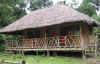 junglelodge.jpg (93010 bytes)