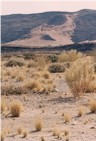 View of sand flow from spot near Solitaire