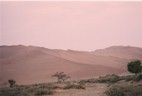The famous red dunes of the Namib