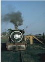 The Narrow Gauge engine gets loaded with coal