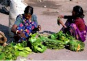 Women make plates and bowls from Sal leaves, Ranchi