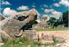 Guard at the entrance