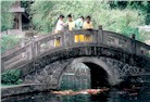 Schoolchildren feed koi at park