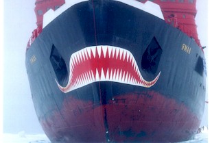 Yamal Bow, Up Close