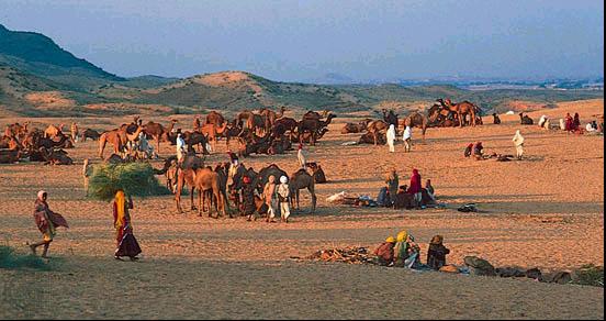Pushkar camel fair, Rajasthan, � Encyclopaedia Britannica